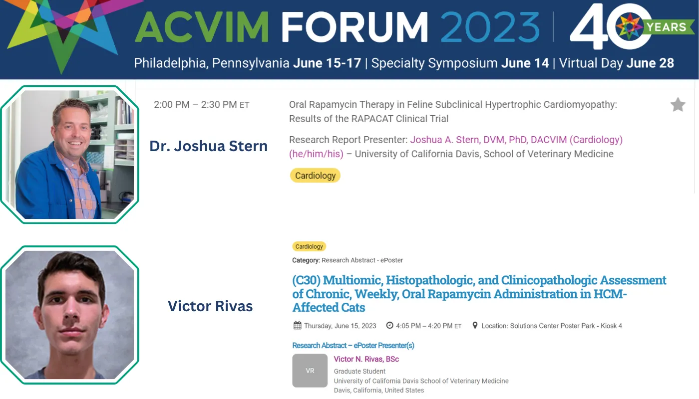 TriviumVet Blog Cutting edge feline HCM research to be presented to ACVIM